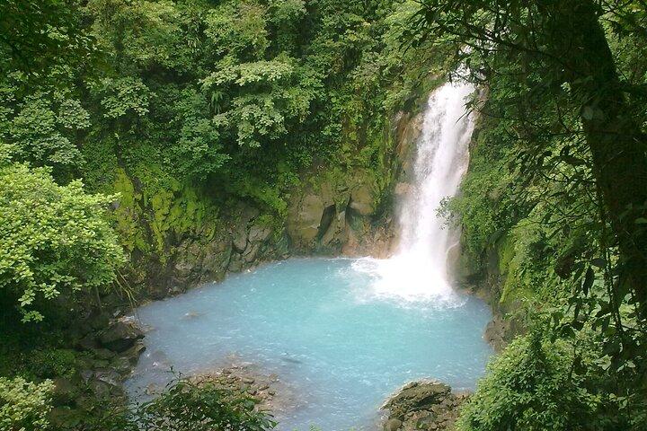 Rio Celeste Waterfall and Sloth Sactuary Full-Day Tour with Lunch