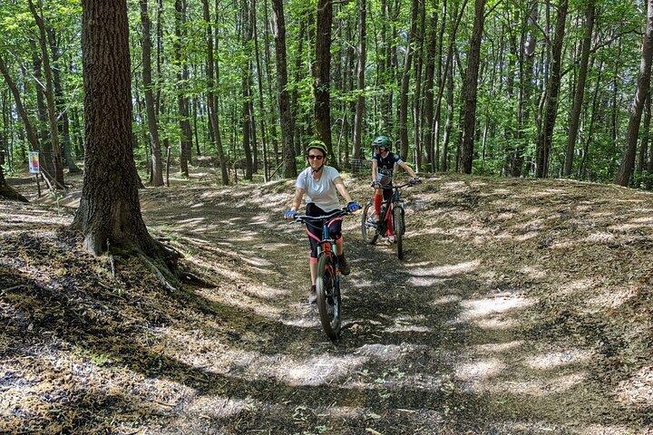 Mount Etna E-bike half-day tour