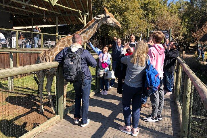Cradle of Humankind Tour with Lion Safari from Johannesburg
