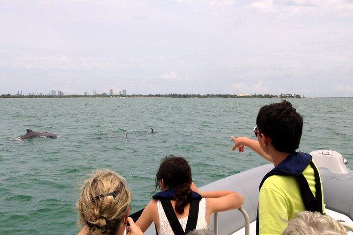Miami Small Group Boat Tour: History, Wildlife, and Stiltsville