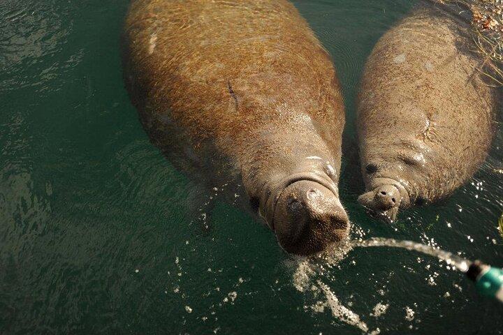 Miami Small Group Boat Tour: History, Wildlife, and Stiltsville