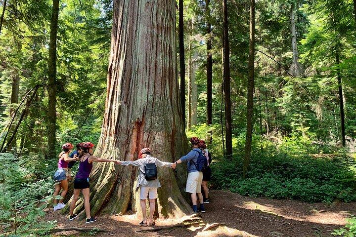 Vancouver Stanley Park 3 Hour Bike Tour