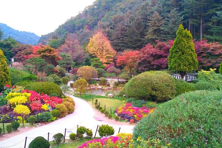VIP Private Nami Island & Petite France & Garden of morning calm