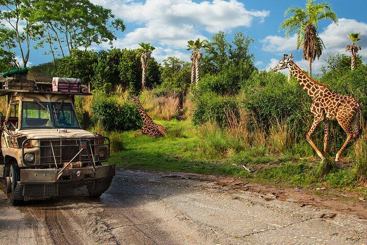 Walt Disney World Admission with Water Park and Sports Option