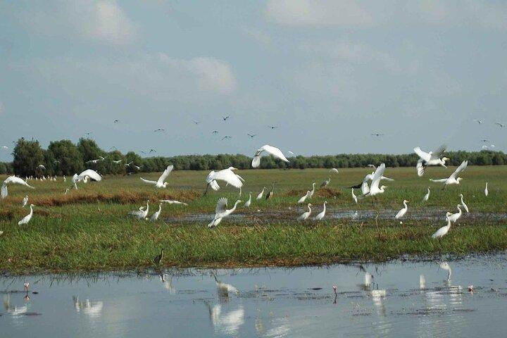 3- Days Best Ecotourism Experiences in Mekong Delta from HCM City