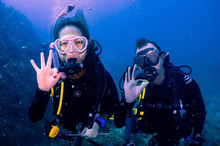 Dive trip to the coral reefs of Fujairah for certified scuba divers