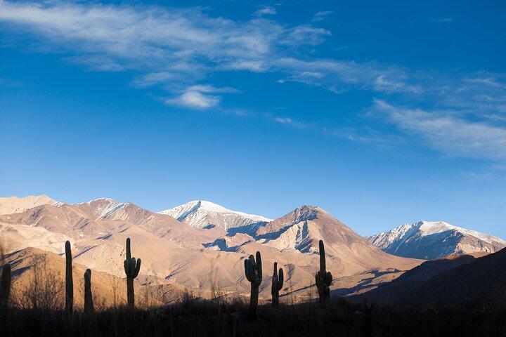 Salta: Calchaquí Valley Scenic Drive and Day Trip to Cachi