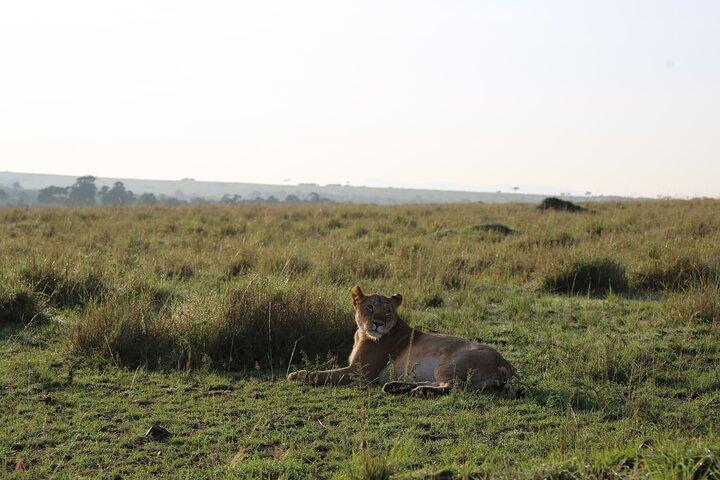 2 Days Tsavo East National Park Tour From Mombasa/Diani (1 Night)