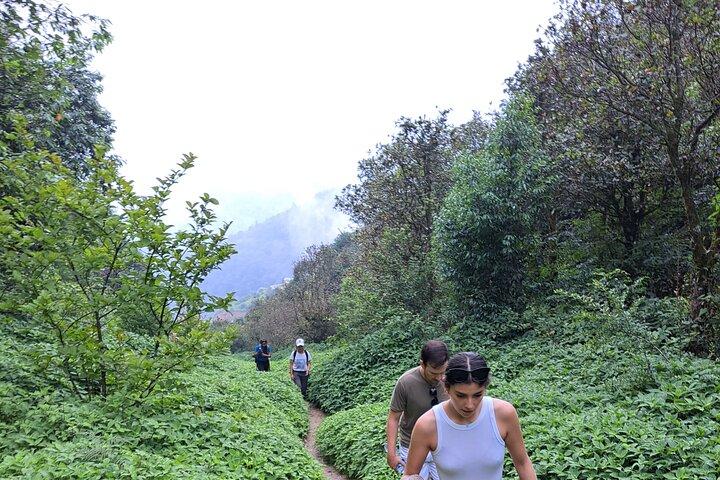 Amazing 1 Day Trekking Experience in Kathmandu Nepal