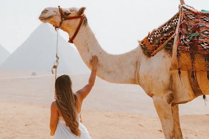 Full Day Tour Giza Pyramids, Sphinx and Egyptian Museum &Felucca