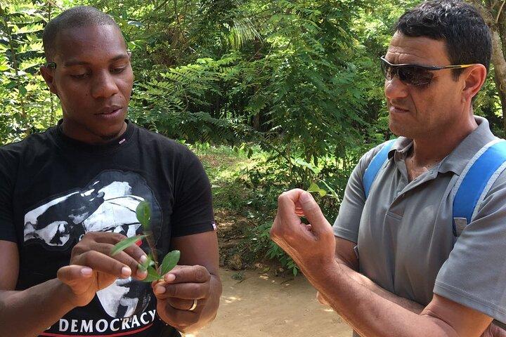 Private Tour Zanzibar Unique Stone Town with spice Farm Plantations