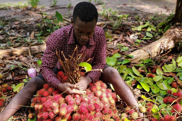 Private Tour Zanzibar Unique Stone Town with spice Farm Plantations