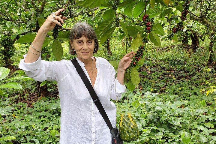 Private Tour Zanzibar Unique Stone Town with spice Farm Plantations