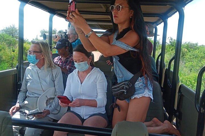 3 Hour Pilanesberg Afternoon Open Vehicle safari drive (Self drive)
