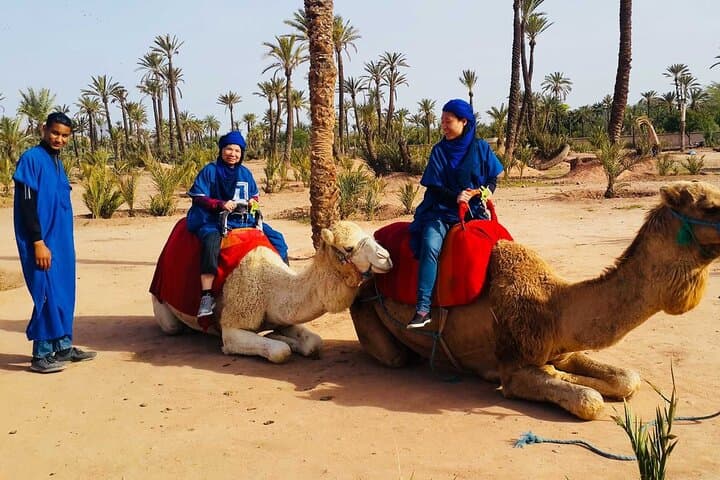 Marrakech Camel Ride