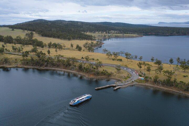 Hobart: Bruny Island Adventure: Hiking, Highlights & Local tastes