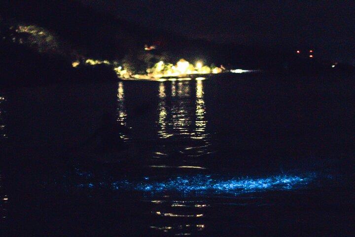 Bioluminescent Kayak Tour