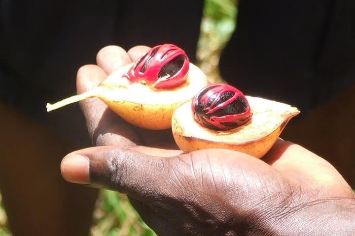 Zanzibar Cooking Class [Swahili food test ] and Spice farm Private tour