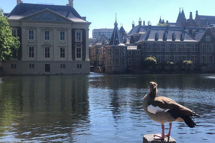 Visit the Girl with the Pearl Earring, The Hague & Delft City