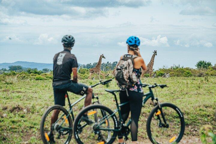 Arusha National Park E-Bike Safari Day trip