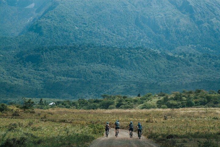 Arusha National Park E-Bike Safari Day trip