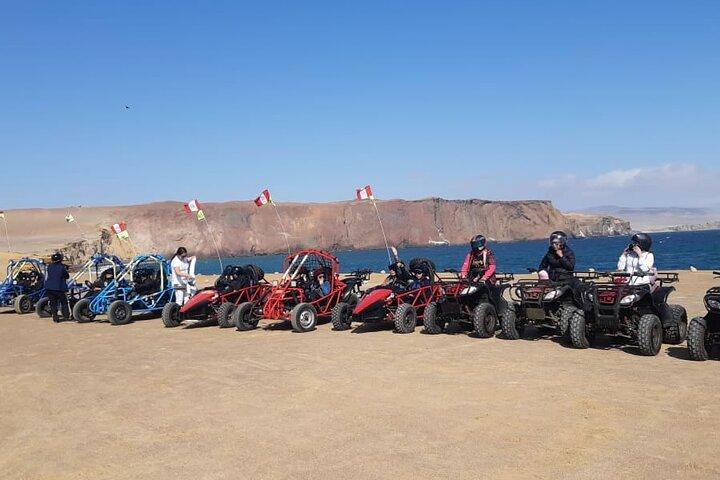 Excursion in Minibuggys in Paracas National Reserve
