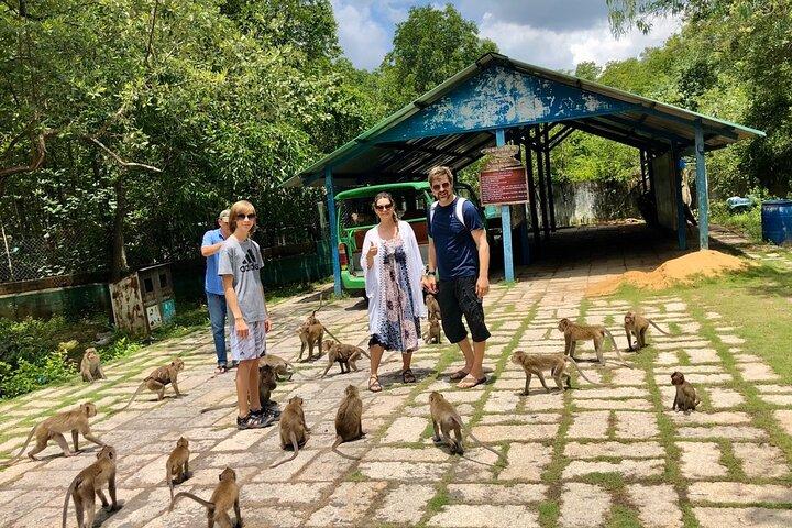 1-Day Can Gio Island-Mangrove Biosphere Reserve-Trekking