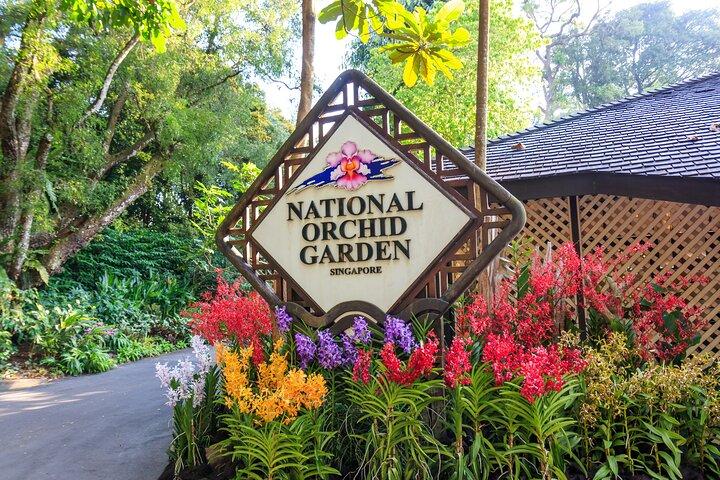 Private Singapore City Tour and National Orchid Garden