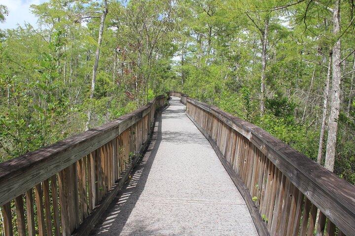 Everglades Day Safari from Miami
