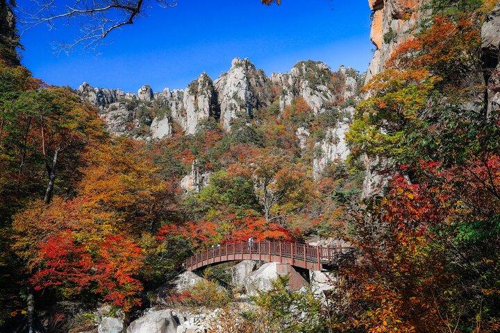 Mt. Seoraksan National Park Autumn Foliage Day Tour from Seoul