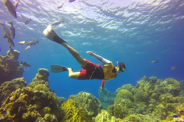 Cozumel Catamaran Snorkel Tour: El Cielo & Palancar with lunch