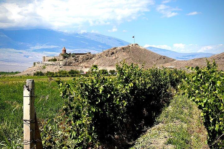 Private Tour: Khor Virap-Areni-Noravank-Shaki-Tatev