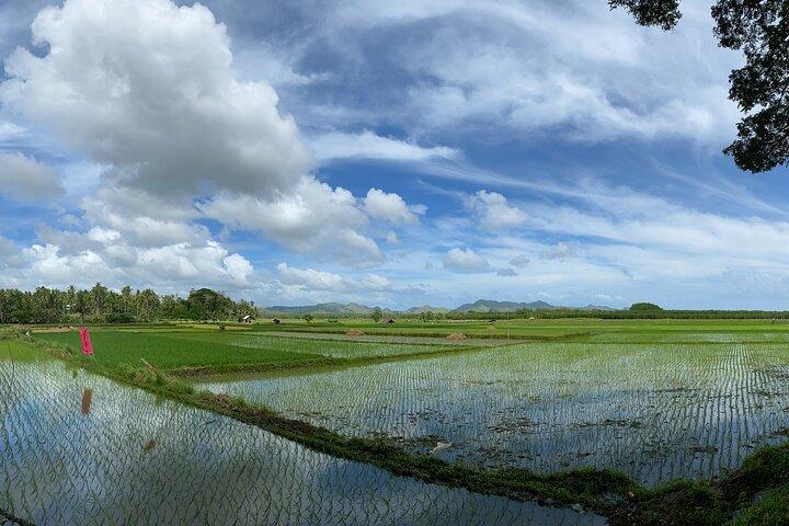 Can-umantad Falls and candijay rice terraces Eco Tour