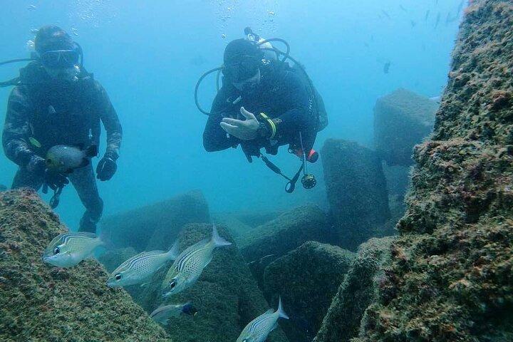 Pleasure Scuba Diving in Fujairah for Certified Diver