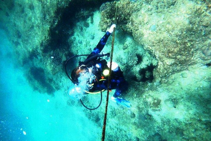 Pleasure Scuba Diving in Fujairah for Certified Diver