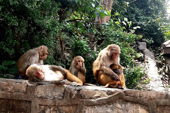 Kathmandu 2, 4 or 7 UNESCO Sites Private Day Tour