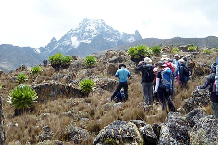 Mount Kenya Treks