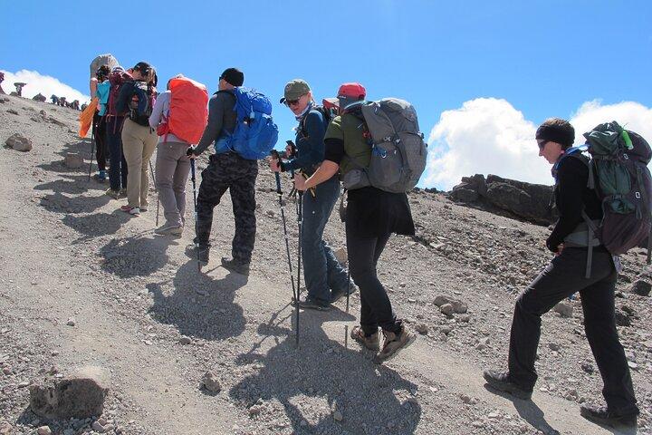 Kilimanjaro Climbing - Lemosho route