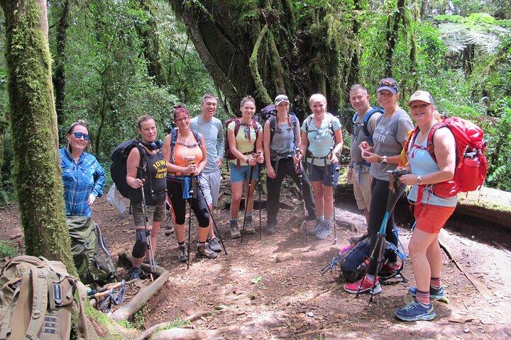 Kilimanjaro Climbing - Lemosho route