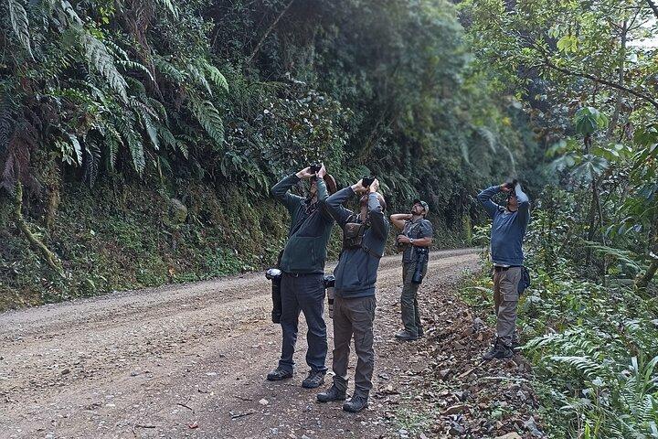 Amazon Jungle Tour 3 days