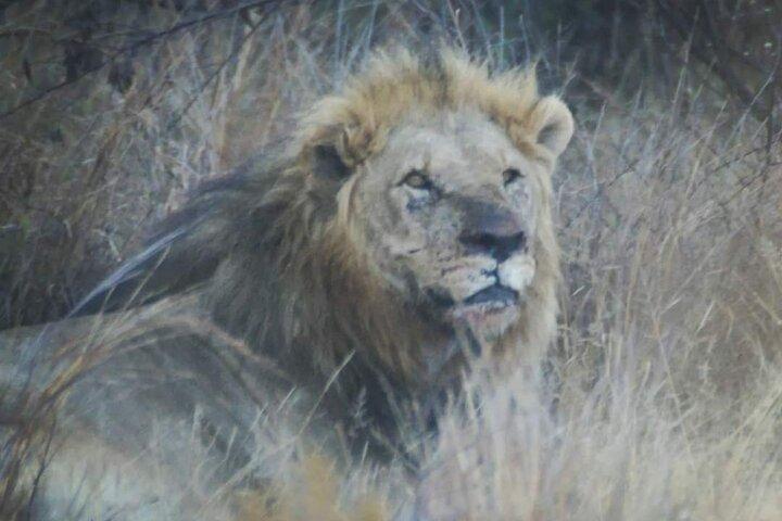 Private Pilanesberg National Park Safari, BIG 5 Full Day