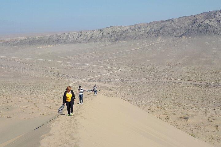 Altyn Emel. Singing dune. 1 day tour