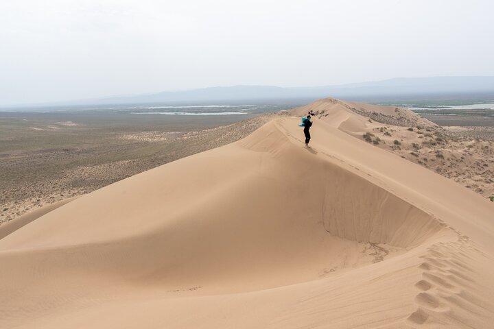Altyn Emel. Singing dune. 1 day tour