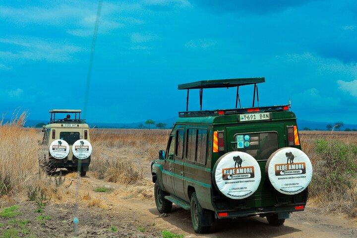 Top Best 5 Days Tanzania Luxury Safari to Serengeti