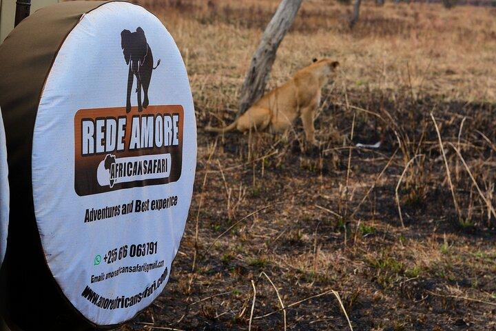 Top Best 5 Days Tanzania Luxury Safari to Serengeti