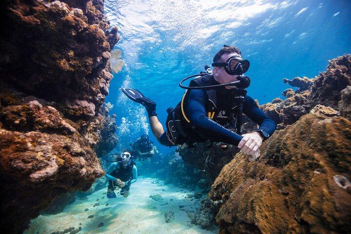 Snorkel Tour - Visit 2 Shallow Reefs John Pennekamp State Park