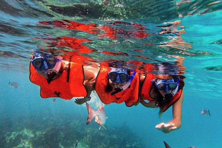 Snorkel Tour - Visit 2 Shallow Reefs John Pennekamp State Park