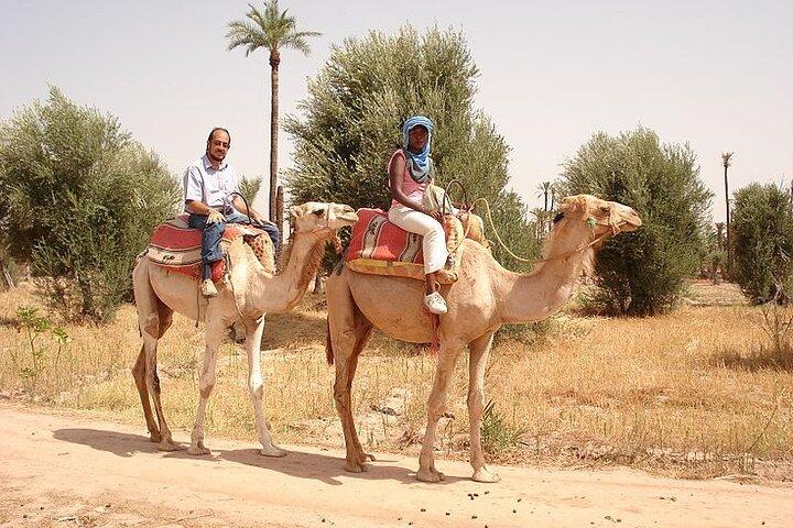 Marrakech Palmeraie Tour with 1 Hour Camel Ride