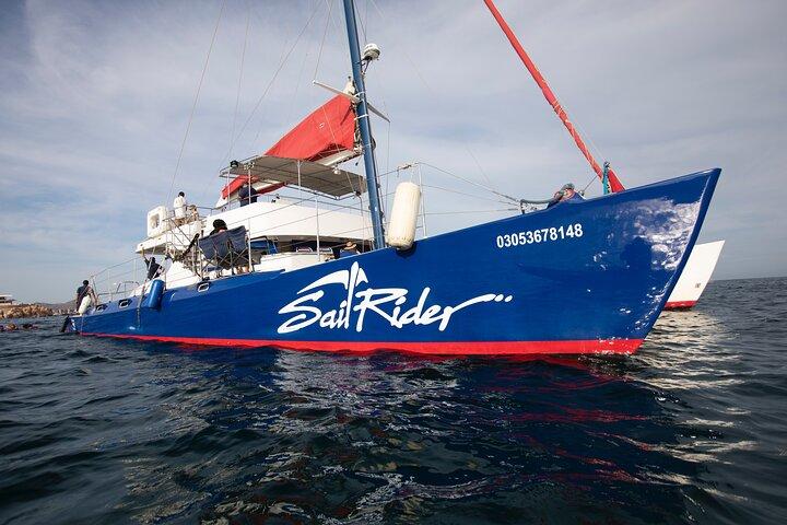 Snorkel, Lunch and Sail in Cabo San Lucas