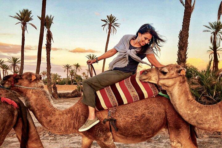 Marrakech Palmeraie Tour with 1 Hour Camel Ride